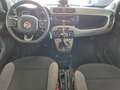 Fiat Panda 1.0 firefly hybrid City Life Negro - thumbnail 12