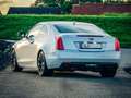 Cadillac ATS ATS Coupe 2,0L Turbo RWD Premium Premium Fehér - thumbnail 7