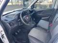 Fiat Doblo Doblò SX Kasten Weiß - thumbnail 17