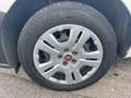 Fiat Doblo Doblò SX Kasten Weiß - thumbnail 6