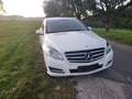 Mercedes-Benz R 350 R 350 CDI 4-Matic Navi RFK SHZ Schiebedach 251.023 Blanco - thumbnail 17