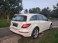 Mercedes-Benz R 350 R 350 CDI 4-Matic Navi RFK SHZ Schiebedach 251.023 White - thumbnail 10
