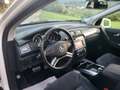Mercedes-Benz R 350 R 350 CDI 4-Matic Navi RFK SHZ Schiebedach 251.023 Blanco - thumbnail 20