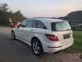 Mercedes-Benz R 350 R 350 CDI 4-Matic Navi RFK SHZ Schiebedach 251.023 Alb - thumbnail 6