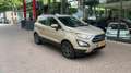 Ford EcoSport 1.0 EcoBoost Trend Ultimate | Achteruitrijcamera | Marrone - thumbnail 7