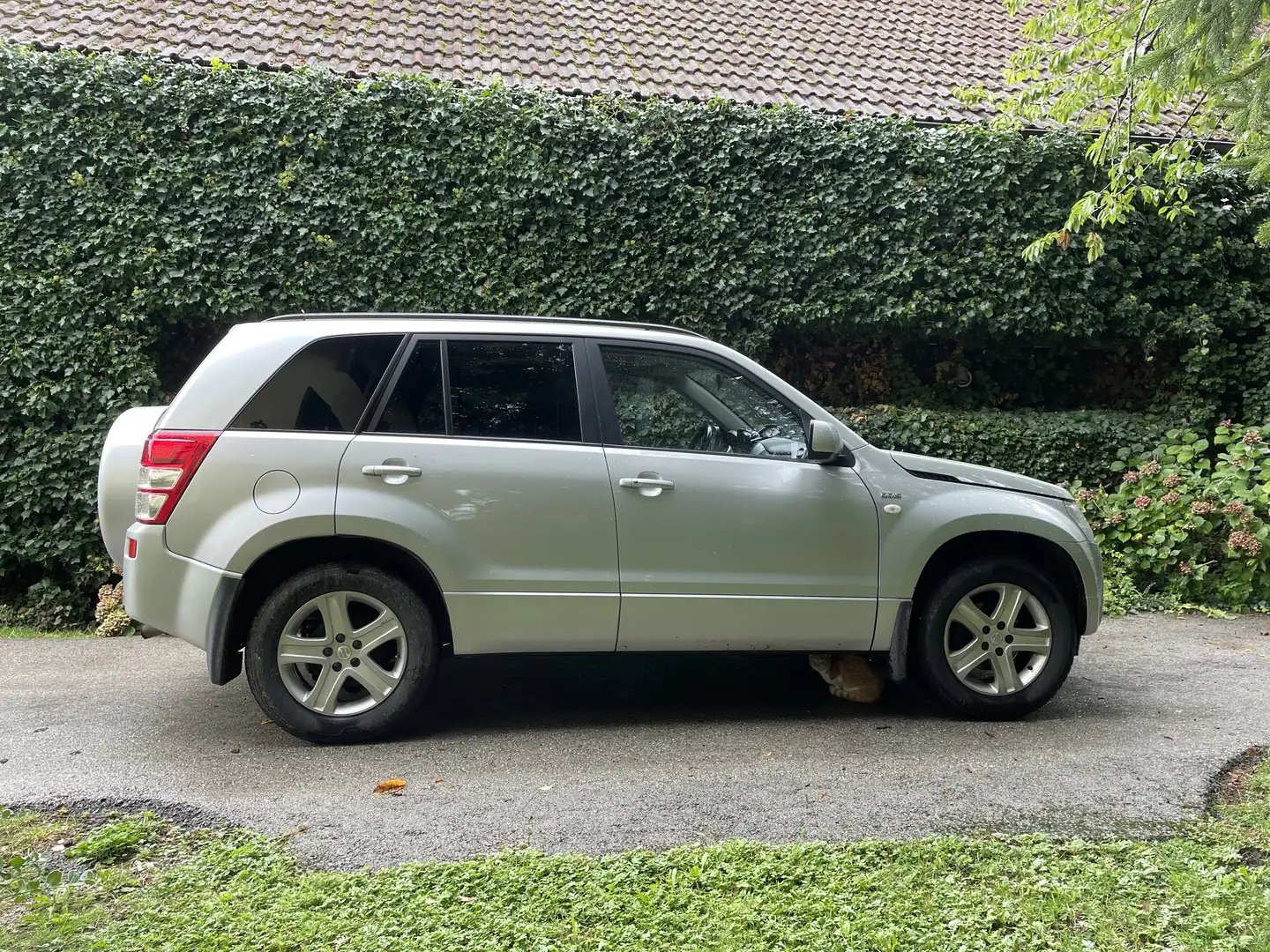 Suzuki Vitara 1,9 VX 5DR DDiS Grau - 2