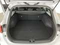Kia Ceed SW / cee'd SW Ceed Sportswagon 1.6 CRDI LED+RFK+LENKRDHZG Weiß - thumbnail 19