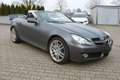 Mercedes-Benz SLK 200 Kompressor - Automatik-Navi-Leder Gri - thumbnail 6