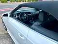 Audi A5 Cabriolet 2.0 TDI  quattro Bianco - thumbnail 10