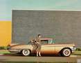 Cadillac Eldorado Seville Bronze - thumbnail 25