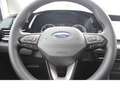 Ford Tourneo Connect 2.0 Active L2 7 Sitzer Kamera Navi Blau - thumbnail 9