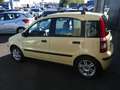 Fiat Panda Panda 1.2 Automatik Emotion KlimaautomatiHU/AU NEU Gelb - thumbnail 14