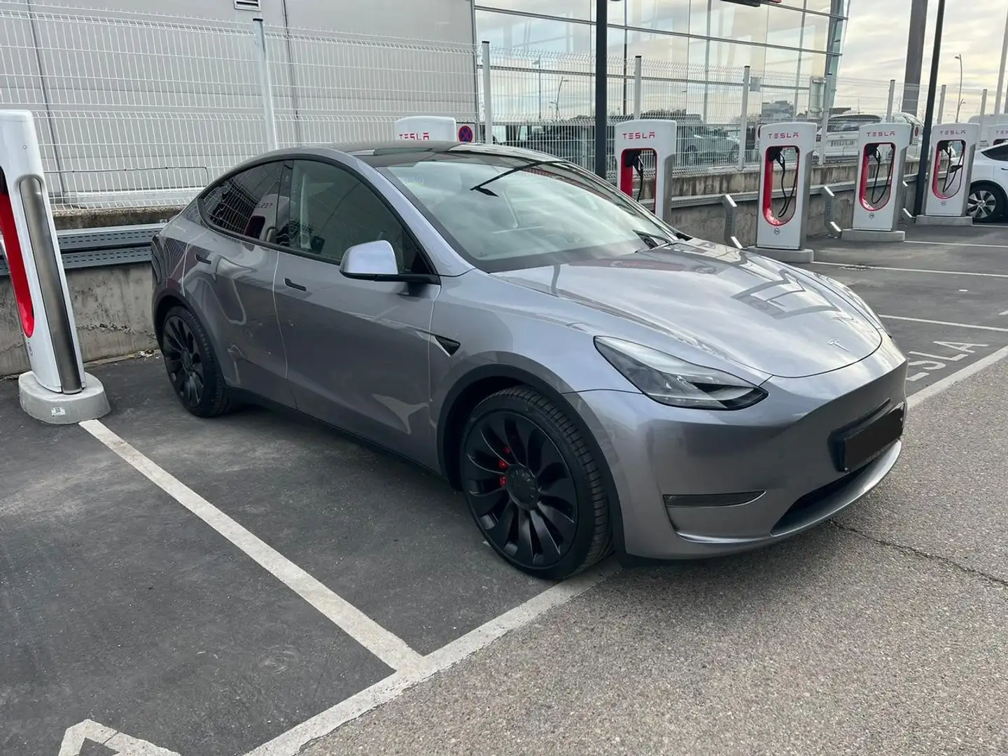 Tesla Model Y Performance 4WD Gris - 1