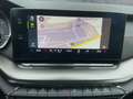 Skoda Octavia Combi RS PLUS 2.0TDI 4x4 DSG LED+NAV+ACC Grau - thumbnail 11