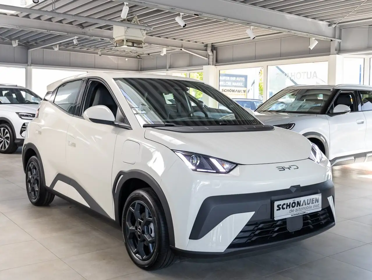 BYD Dolphin Surf 2026