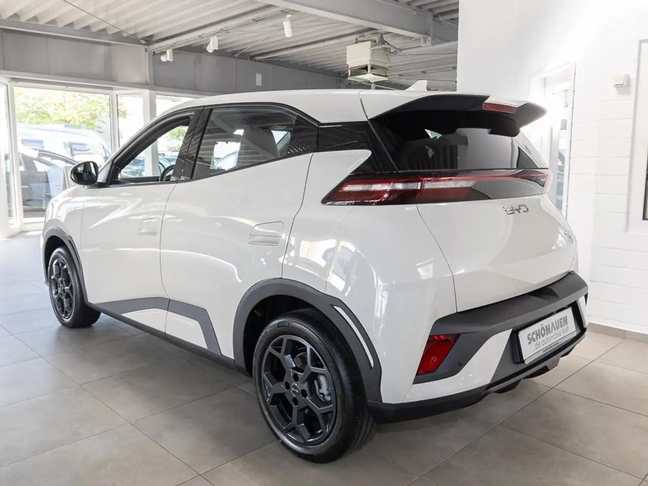 BYD Dolphin Surf 2026