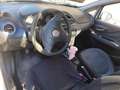 Fiat Punto Evo Punto Evo 5p 1.4 Active Gpl 77cv Weiß - thumbnail 3