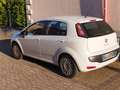 Fiat Punto Evo Punto Evo 5p 1.4 Active Gpl 77cv Weiß - thumbnail 2