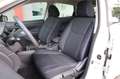 Nissan Pulsar 1.5 dCi UniPropr. SOLO 55.000 km per NEOPATENTATI Bianco - thumbnail 43
