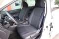 Nissan Pulsar 1.5 dCi UniPropr. SOLO 55.000 km per NEOPATENTATI Bianco - thumbnail 41