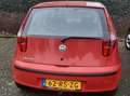 Fiat Punto 1.2 Young Rouge - thumbnail 2