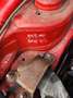 Fiat Punto 1.2 Young Red - thumbnail 6