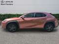Lexus UX 300h Business Line+cam+gps+sens V+A Braun - thumbnail 5