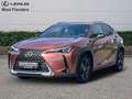 Lexus UX 300h Business Line+cam+gps+sens V+A Braun - thumbnail 1