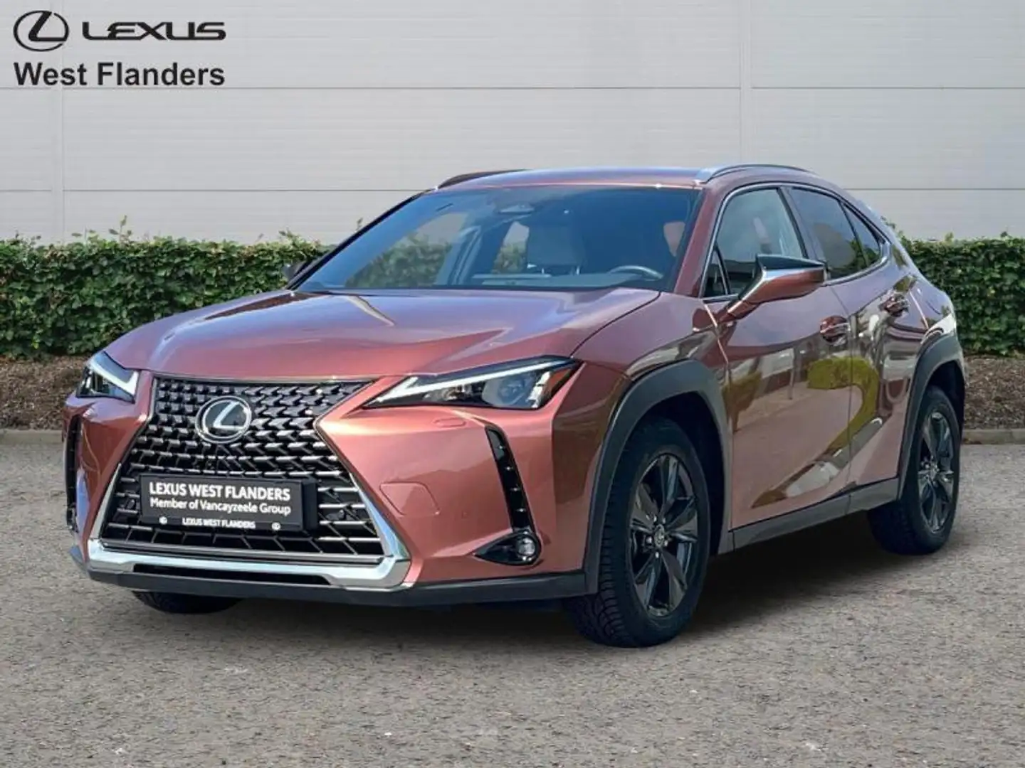 lexus ux