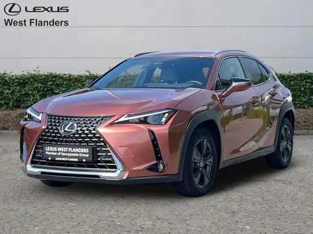 Lexus UX 300h Business Line+cam+gps+sens V+A