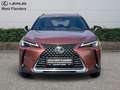Lexus UX 300h Business Line+cam+gps+sens V+A Braun - thumbnail 2