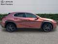Lexus UX 300h Business Line+cam+gps+sens V+A Braun - thumbnail 3
