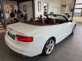 Audi A5 Cabrio 3,0 TDI quattro Sport S-tronic, S-Line/B... Weiß - thumbnail 7