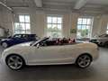 Audi A5 Cabrio 3,0 TDI quattro Sport S-tronic, S-Line/B... Weiß - thumbnail 15