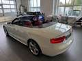 Audi A5 Cabrio 3,0 TDI quattro Sport S-tronic, S-Line/B... Weiß - thumbnail 13