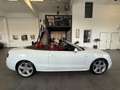 Audi A5 Cabrio 3,0 TDI quattro Sport S-tronic, S-Line/B... Weiß - thumbnail 5