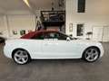 Audi A5 Cabrio 3,0 TDI quattro Sport S-tronic, S-Line/B... Weiß - thumbnail 4