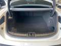 Porsche Taycan Taycan Performance Battery Plus - IVA Esposta Bianco - thumbnail 9