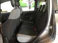 Fiat Panda 1.0 FireFly S&S Hybrid City Life MY21 5 POSTI Grigio - thumbnail 15