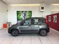 Fiat Panda 1.0 FireFly S&S Hybrid City Life MY21 5 POSTI Grigio - thumbnail 6