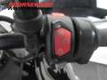 Triumph Tiger 900 RALLY PRO Wit - thumbnail 8