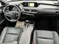 Lexus UX 250h BUSINESS LINE Or - thumbnail 12