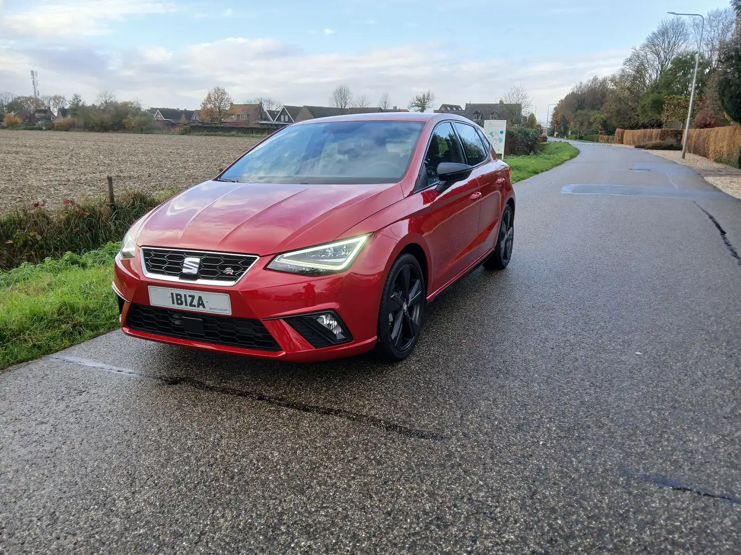 SEAT Ibiza 1.0 TSI FR Black Edition + alcantara bekleding + 1 Rouge - 2