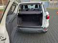 Ford EcoSport Trend SHZ PDC GJR Klima CD Sync Blanc - thumbnail 7
