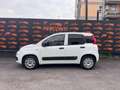 Fiat Panda 1.2 Easy CITY PRIVACY CLIMA Wit - thumbnail 3