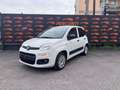 Fiat Panda 1.2 Easy CITY PRIVACY CLIMA Wit - thumbnail 1
