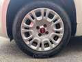 Fiat Panda 1.2 Easy CITY PRIVACY CLIMA Blanc - thumbnail 7