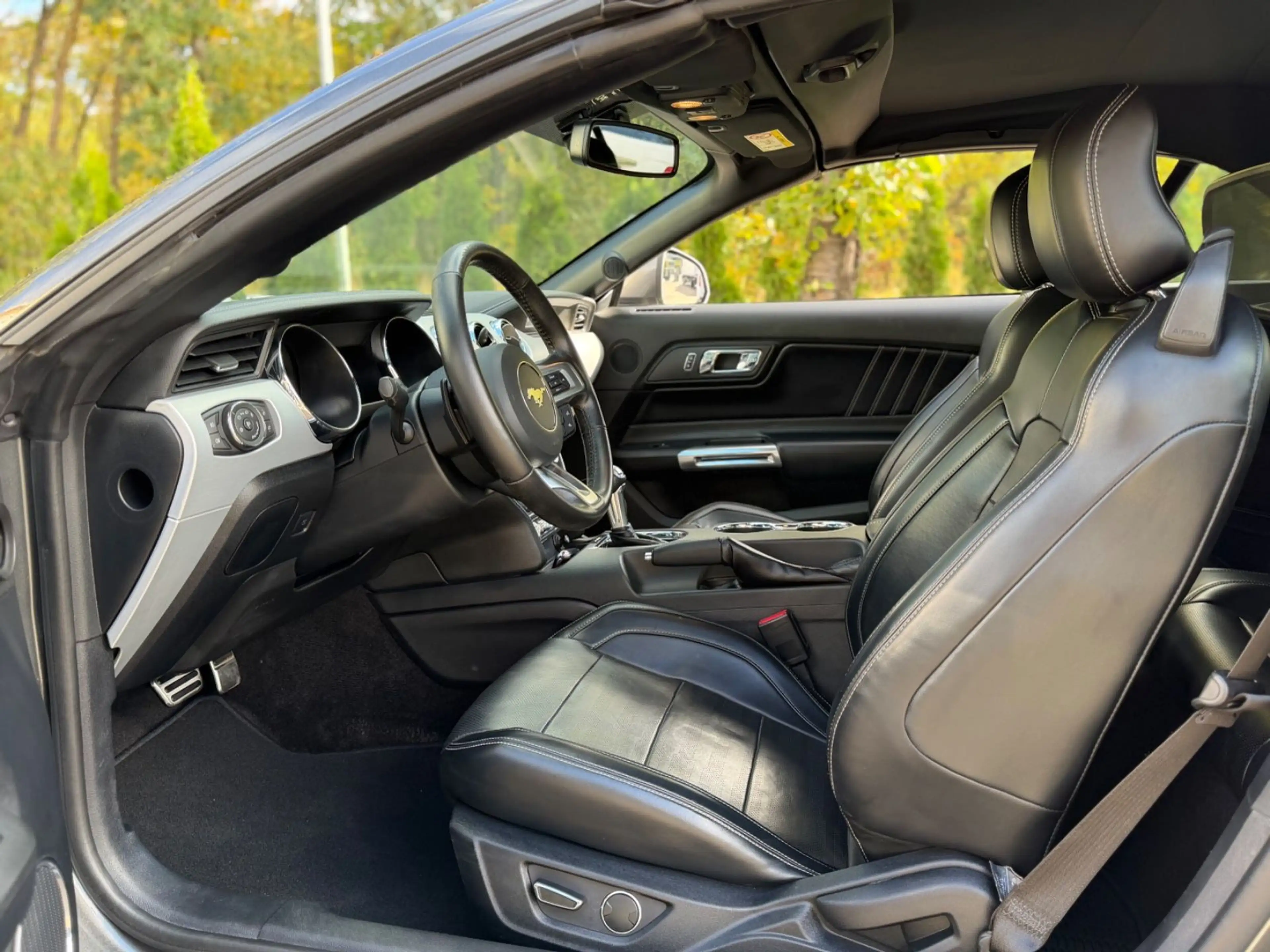 Ford Mustang GT5.0 Convertible/SHAKER/Sitzklima/Sport — photo 7