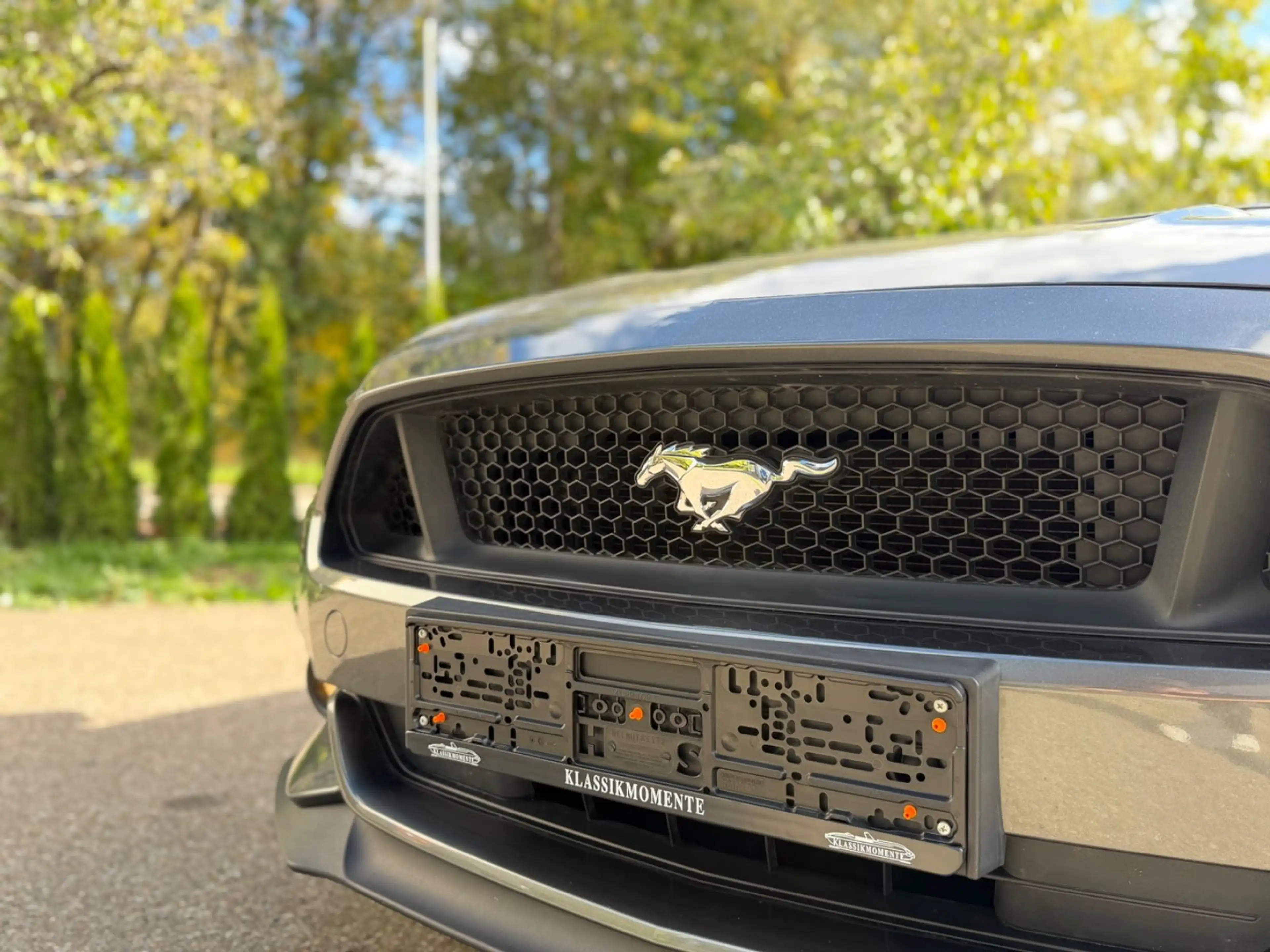 Ford Mustang GT5.0 Convertible/SHAKER/Sitzklima/Sport — photo 18