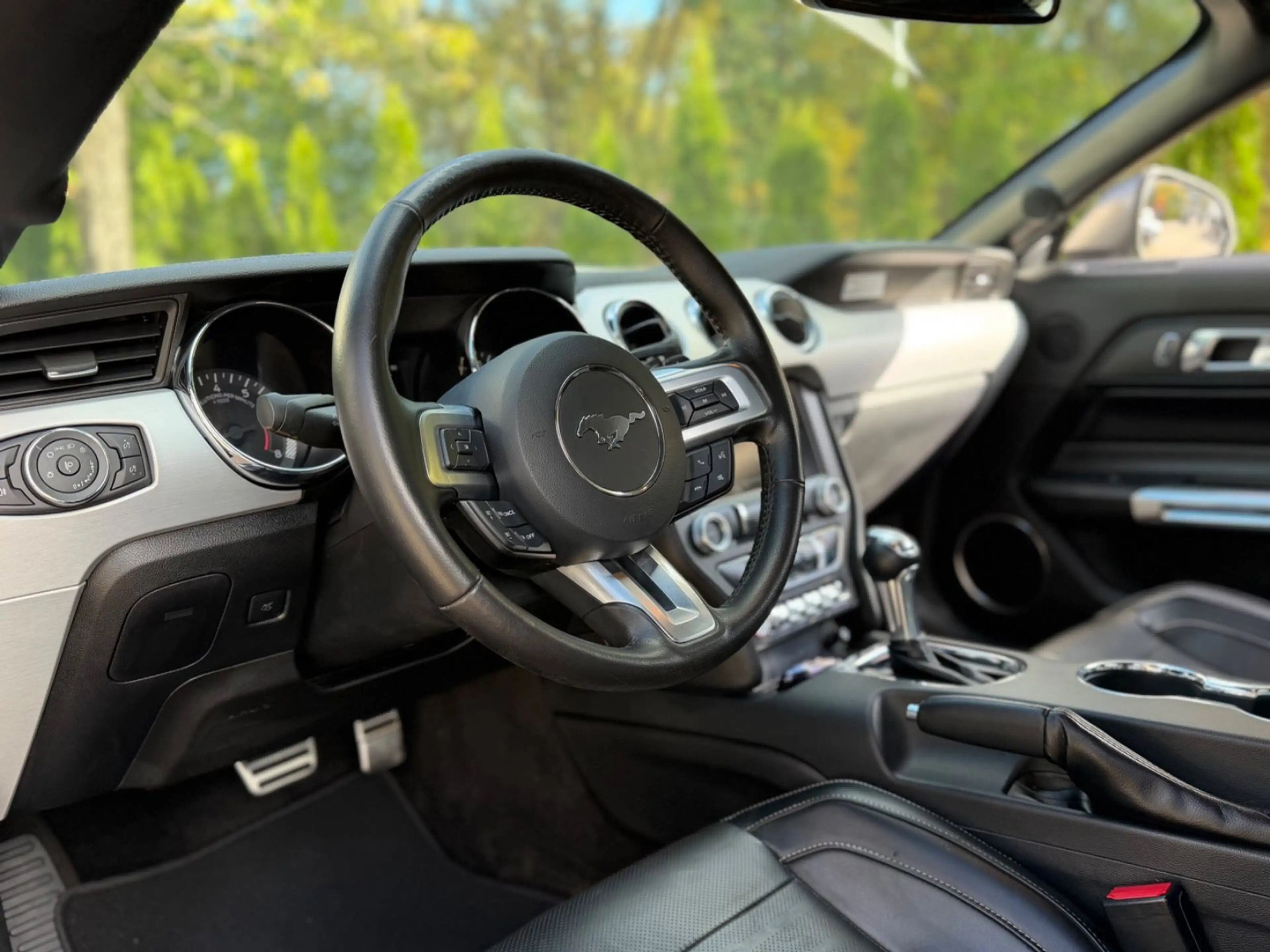 Ford Mustang GT5.0 Convertible/SHAKER/Sitzklima/Sport — photo 9